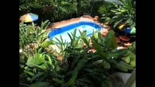 preview picture of video 'La Fortuna Hotels - OneStopHotelDeals.com'