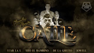 Luar la L x Tito el bambino x De la ghetto x Jowell - Caile (Mambo Remix)