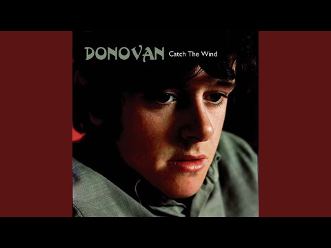 Why Do You Treat Me Like You Do - Donovan