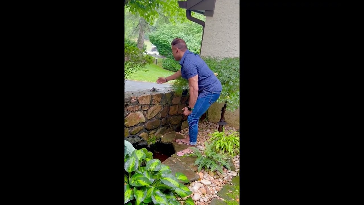 Man Saves Baby Bird From Backyard Pond || ViralHog