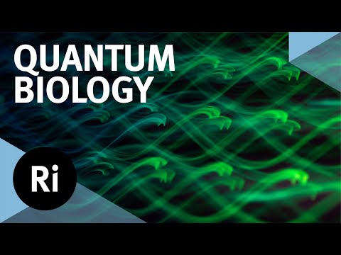 A future with quantum biology - with Alexandra Olaya-Castro