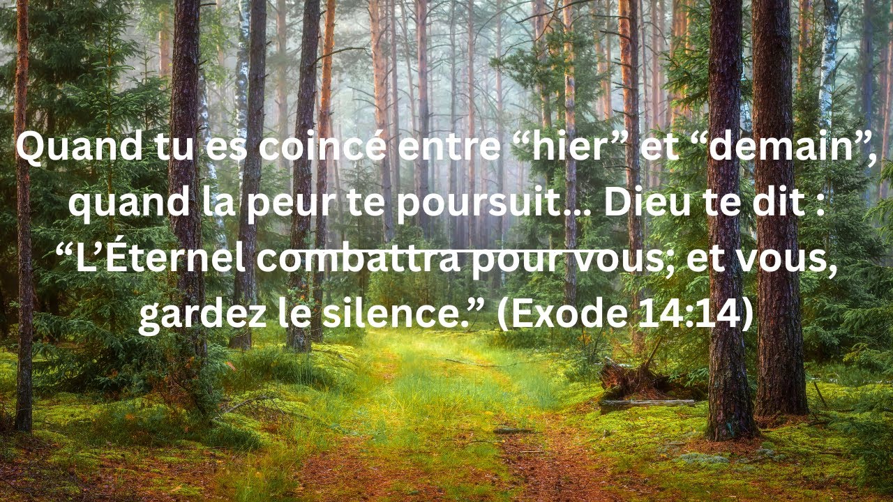 “L’Éternel combattra pour vous; et vous, gardez le silence ” Exode 14:14