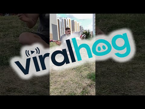 Jack Russell Terrier Somersaults in Slow Motion || ViralHog