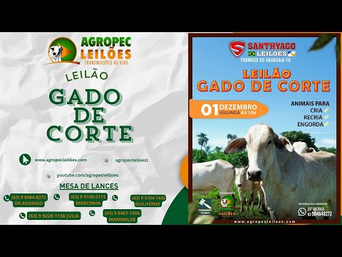 Agropecleiloes AO VIVO | LEILÃO GADO DE CORTE | SANTHYAGO LEILÕES |FORMOSO DO ARAGUAIA-TO | 01/12/25