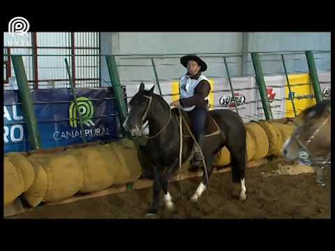 Classificatória Região Norte – 2° lugar fêmeas – Malla Oro da Reconquista (Prova: Mangueira II)