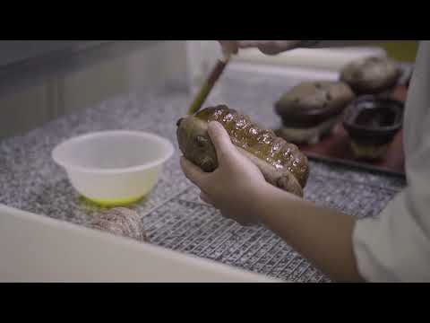 Le secret du Langhopf - Maison Alsacienne de Biscuiterie