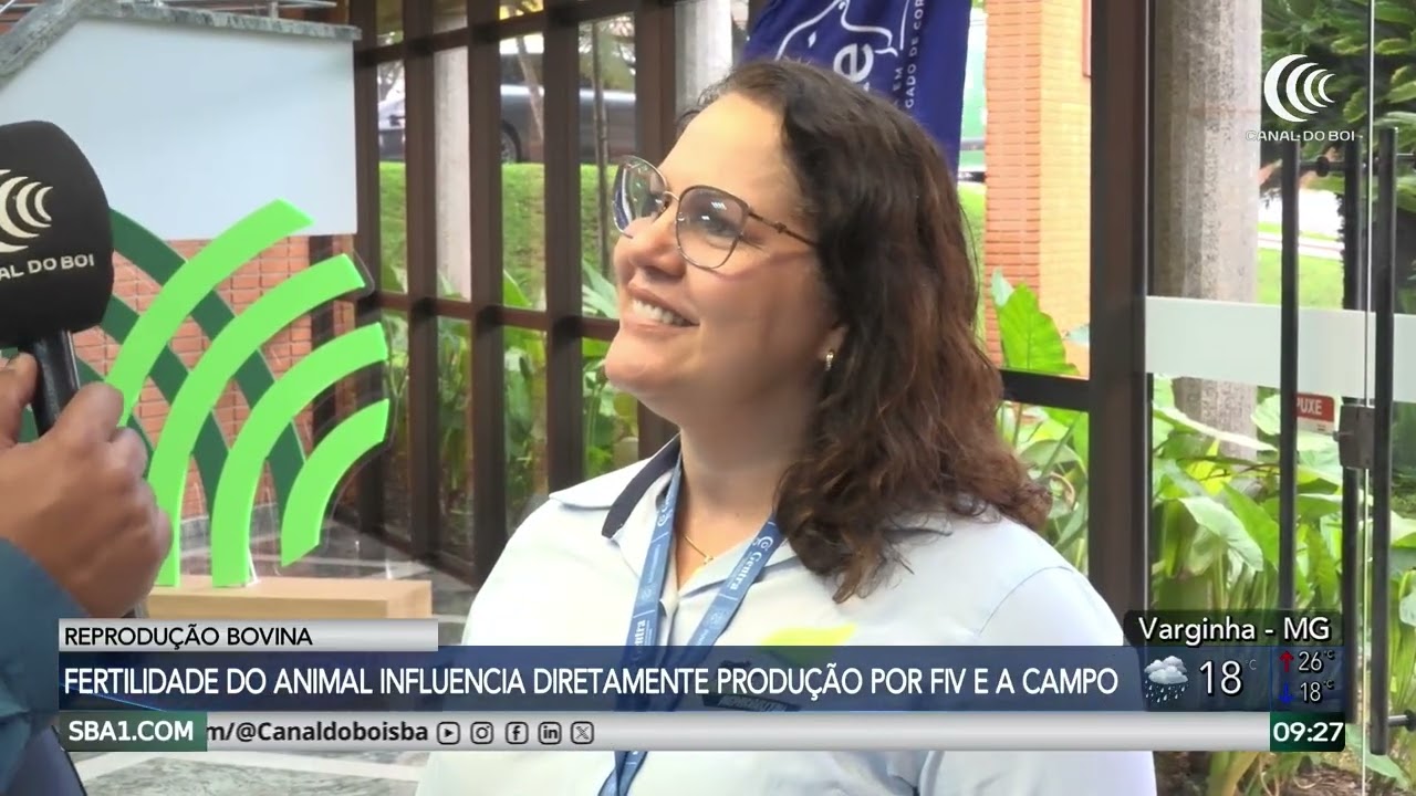 Fertilidade do animal influencia diretamente na produção por FIV e a campo