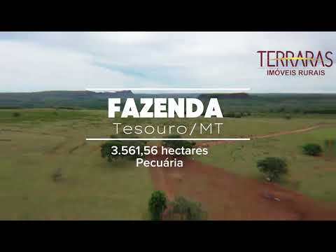 Fazenda à Venda em Tesouro-MT | 3.561 ha • Pecuária • Pasto Formado • Rios Batovi e Areado