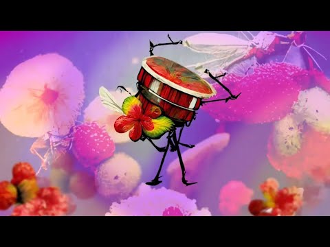 Ffredi Blino - Fruitfly