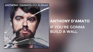 Anthony D'Amato - "If You're Gonna Build A Wall" [Audio Only]