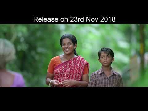 പാപ്പാസ്