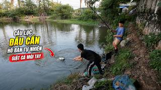 Câu Lục Đầu Cần Hồ Bán Tự Nhiên Tại Hà Nội Giật Cá Mỏi Tay - Nhật Thành Fishing