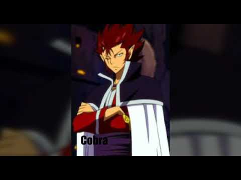 Fairy Tail les Chasseurs de Dragons
