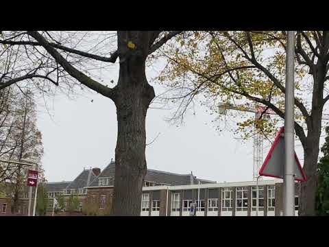 [PH-DOC] Traumahelikopter (MMT) inzet Gouda - 01-10-2020