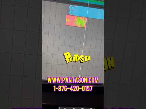 Valiant - Mad Out - Dubplate For PantaSon Movement 2023