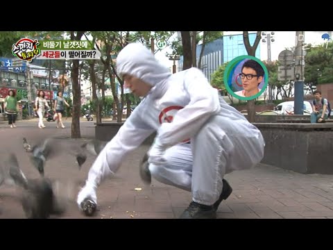 , title : '비둘기에는 세균이 진짜 많을까? 실험맨이 직접 잡아봤습니다. Are pigeons really full of germs?'