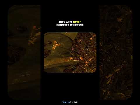 Chris Evans in the Reveal That Changes Everything