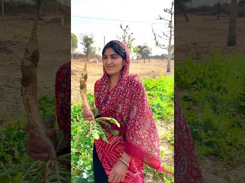 Rudra Radish🥕 ke liye rush gaya #shorts