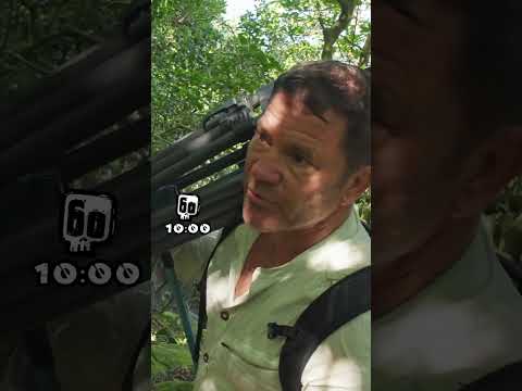 🐍 Steve Backshall Hunts the World’s Rarest Venomous Snake! 😱 | Deadly 60 | CBBC