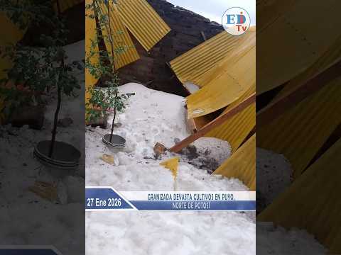 Granizada devasta cultivos en Puyo, norte de Potosí