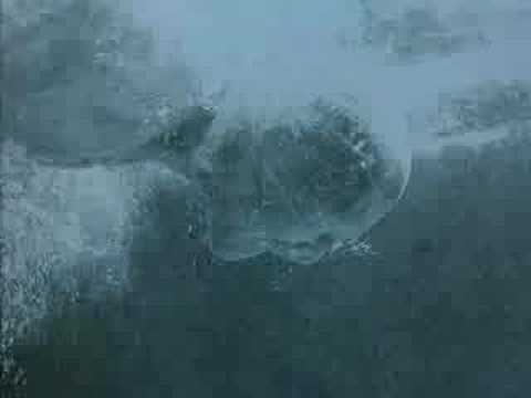 My "Return to House on haunted hill" Trailer