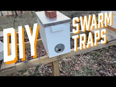 How to Build a Honey Bee Swarm Trap | DIY Beekeeping