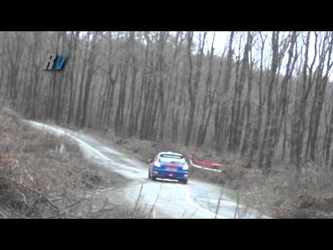 2012 Bozhane Tırmanma / Tansel Karasu / Peugeot 206 RC