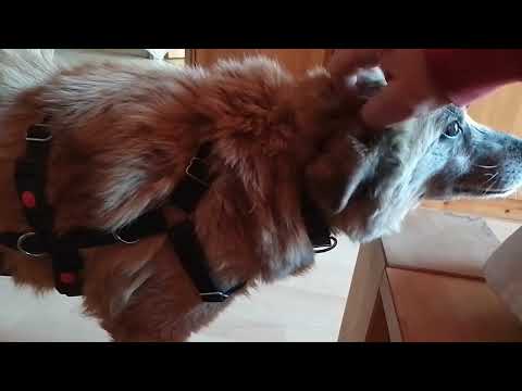 Mogly gestern Nachmittag!