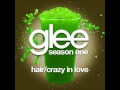 Glee - Hair/Crazy In Love (DOWNLOAD MP3+LYRICS ...
