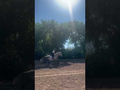 LaRock RC video 3