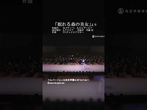 眠れる森の美女 より