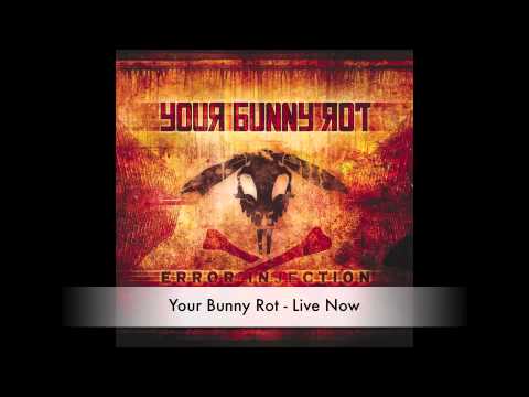 Your Bunny Rot - Live Now