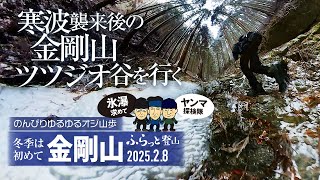【登山】雪の金剛山! 最強寒波後で賑わうツツジオ谷ルートをてくてく…