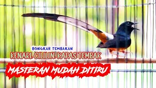 Download lagu MASTERAN TEMBAKAN PANJANG MURAI BATU GACOR, COCOK UNTUK MASTERAN MURAI BATU MUDA MUDAH DITIRUKAN mp3