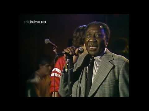 [The Best] Muddy Waters & Rolling Stones - Champagne & Reefer  - Live @ the Checkerboard Lounge 1981
