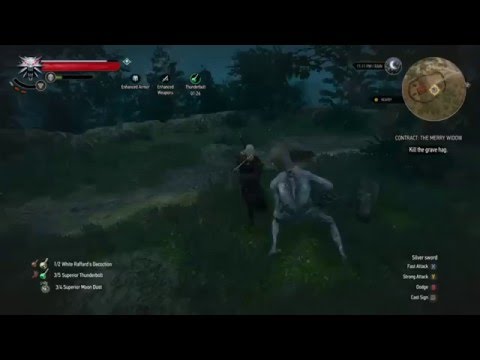 The Witcher 3 - Quickest Non-Insta Boss Kill DM (60k damage in 5s)