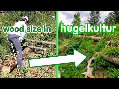 Smaller Wood in Hugelkultur: Nitrogen Immobilization Concerns