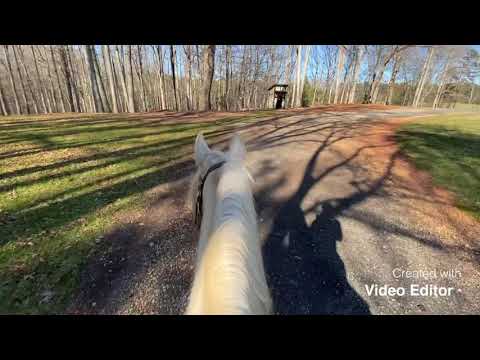 Jolly Jumper (aka JJ)