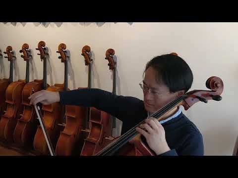 Jian Wang's comments on Toonika Spiritoso cello