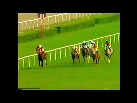 ''KARTALBEY & YAVUZHAN & SIH TAHA'' ZEVKLİ MÜCADELESİ (GRUP 2 - ÇİFTELER KOŞUSU) (15 HAZİRAN 1997)