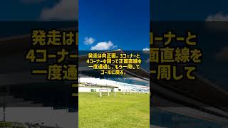 なぜ有馬記念はコーナーを6回も回るのか 内回り1周1667.1m #Shorts