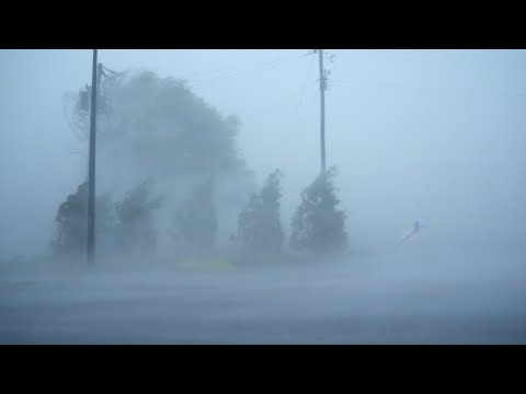 🎧 Listen, Relax & Fall Asleep With Heavy Rainstorm & Strong Winds - Hurricane Florence Eyewall Winds