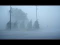 Listen Relax Fall Asleep With Heavy Rainstorm Strong Winds Hurricane Florence Eyewall Winds