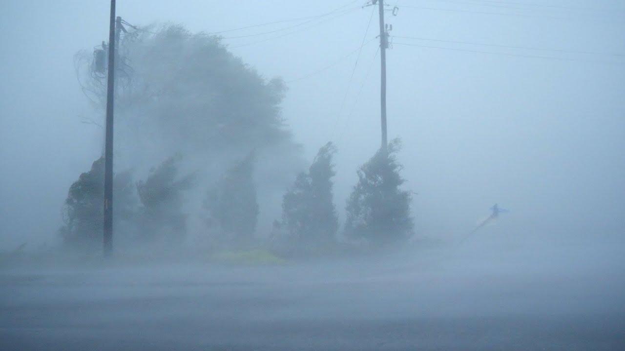 🎧 Listen, Relax & Fall Asleep With Heavy Rainstorm & Strong Winds - Hurricane Florence Eyewall Winds