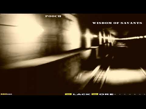Pooch - Wisdom Of Acid (Original Mix)