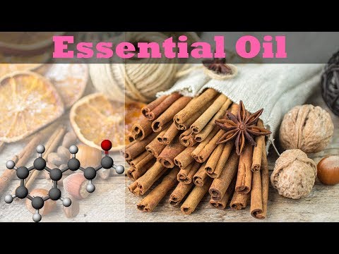 From Cinnamon to Essential Oil (Cinnamaldehyde)