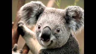 Bryan Duncan We All Need  October 23 , 2010