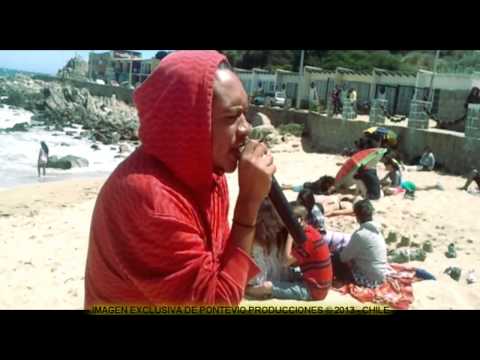 Keno,Loco Lenny, OSosa - Rap en la playa 2013