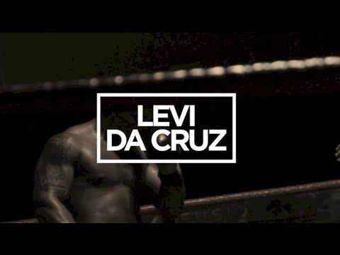 Delighters - Fight ( Levi da Cruz remix)