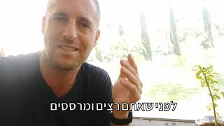מה עושים אם יש חורים בעלים של הנענע ובשאר הצמחים?